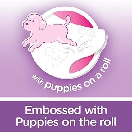 41QDBIx8YAL._AC_SX425_